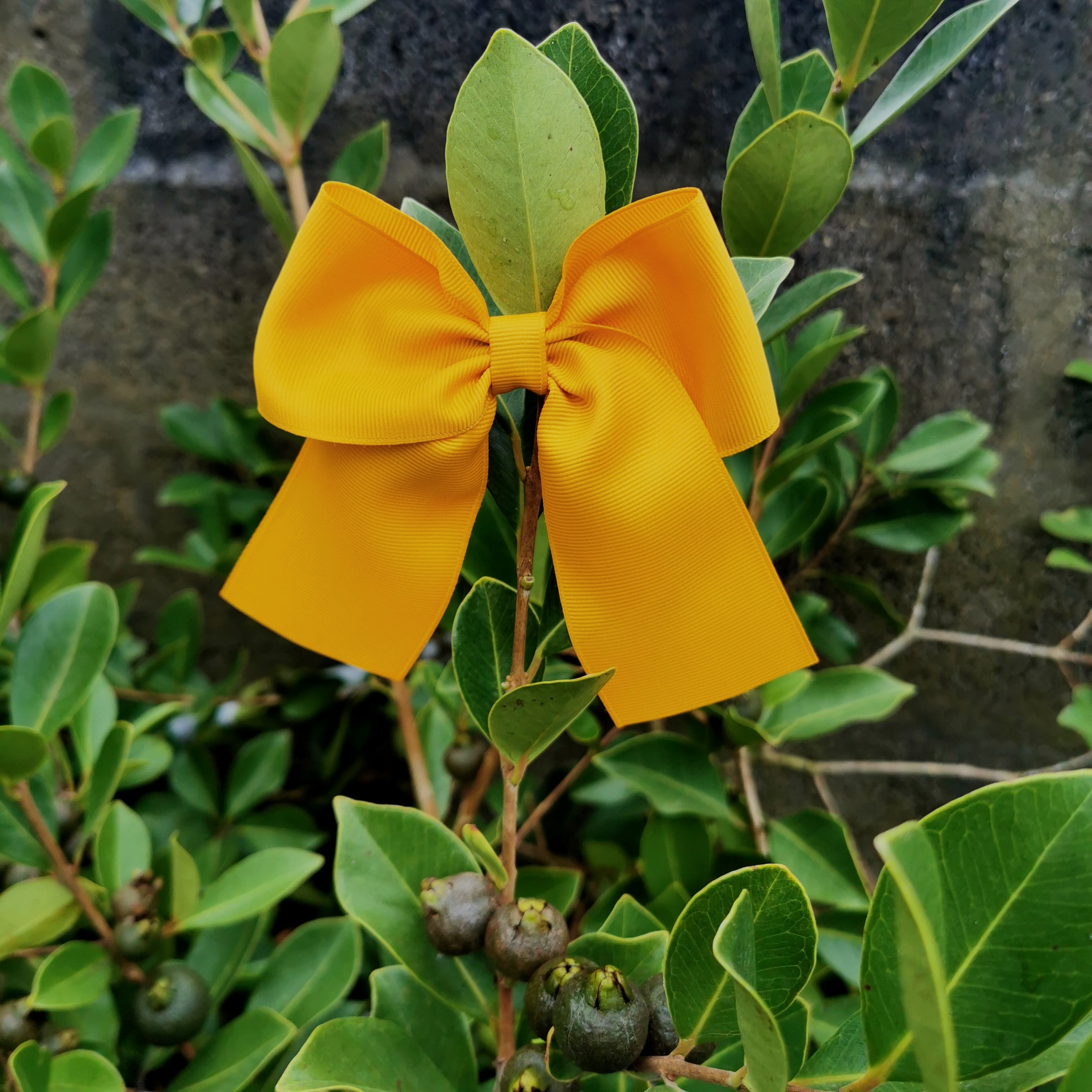 Laço Modelo Clássico Gorgurão Com Pontas